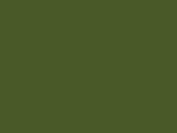 Alpine Green Color Chip